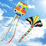 COOLJOY Huge Kites 2 Packs | 3D Octopus Kite and Rainbow Delta Kite with Long Tail | Easy Flyer Kites for Boys Girls Adults Friends and Family | Flying Beach Park Outdoor Games Activities