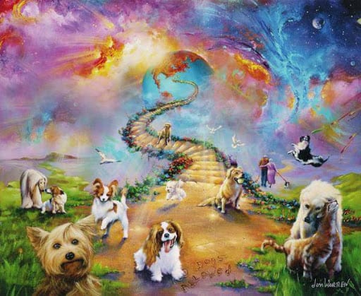 What Is Rainbow Bridge For Dogs A Breathtaking Origin 22